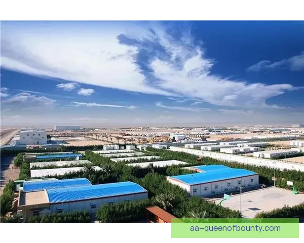 沙特联宣布建设全新转播信号中心提升全球覆盖率